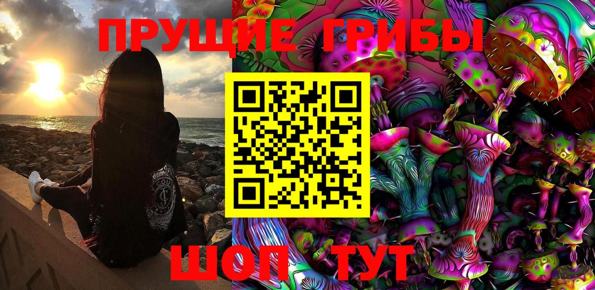 Домодедово  Псилоцибиновые грибы ЛСД  Вход с VPN 
