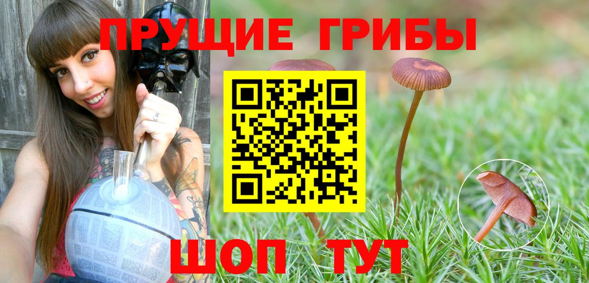 Псилоцибиновые грибы прущие грибы Домодедово
